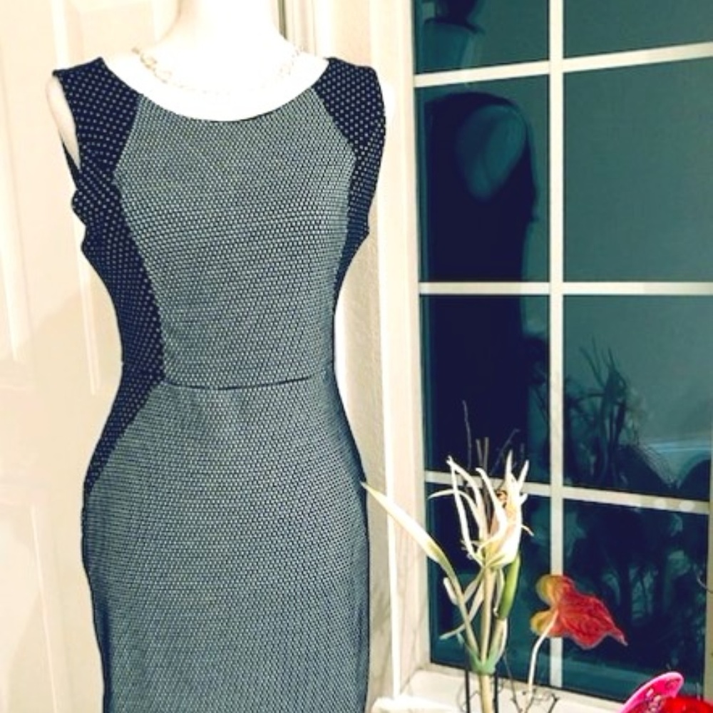 Navy & White Poker Dot Dress